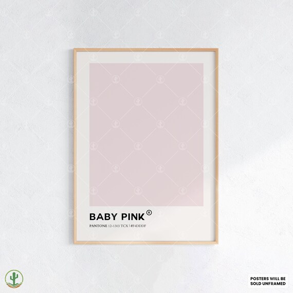 Baby Pink Pantone Color Swatch Minimalist Soft Nursery Poster