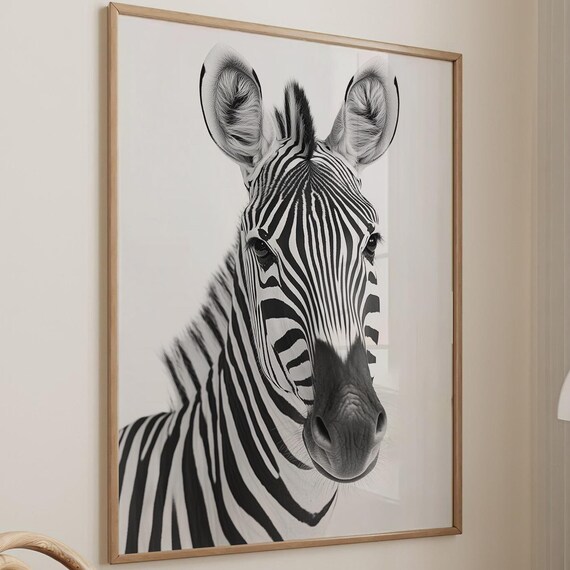 Zebra Black and White Photography Portrait Animal Photo Wall Art