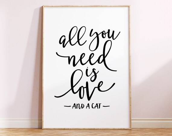 All You Need Is Love and a Cat Funny Script Typography Quote Poster
