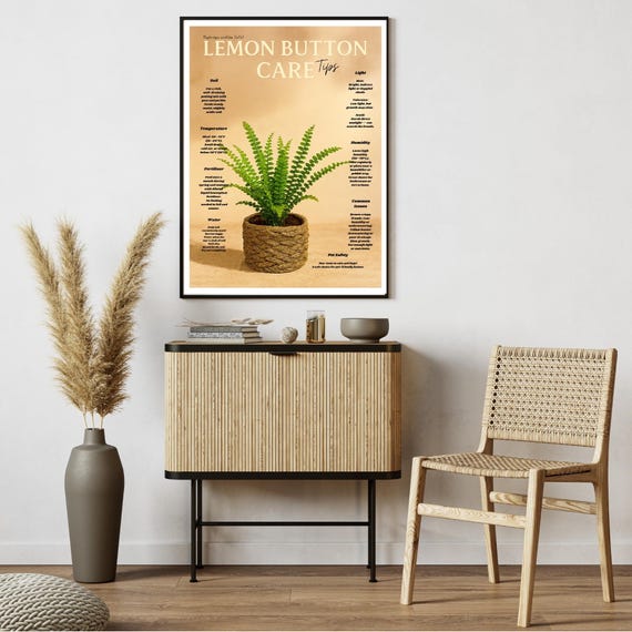 Lemon Button Fern Care Tips Wall Art Indoor Plant Nephrolepis Duffii Guide Bathroom Houseplant Decor Botanical