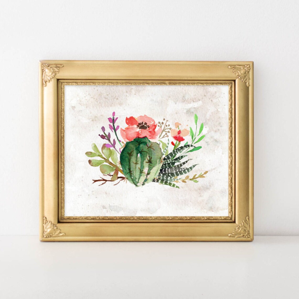 Succulents Cactus Illustration Art Print, Home Gallery