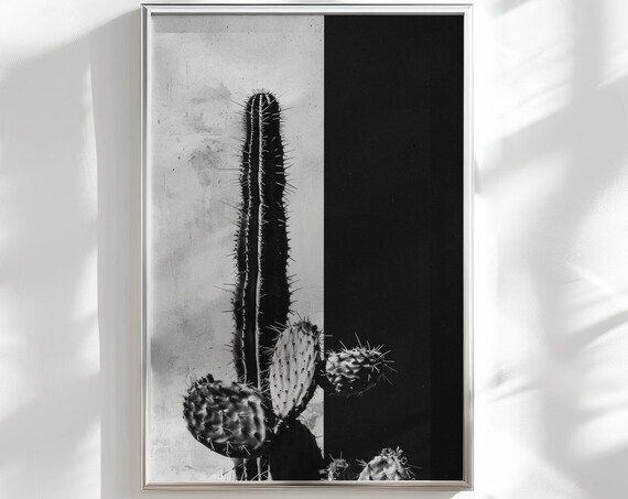 Bold Black And White Cactus Minimalist Desert Photography Poster