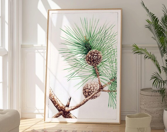 Matsu Pine Branch With Cones Japanese Botanical Zen Watercolor Poster