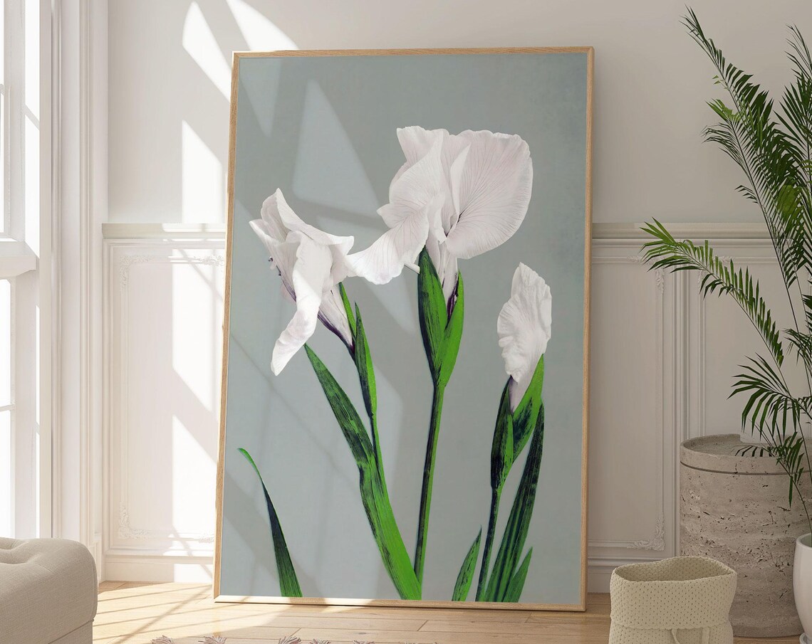 White Iris Flowers Japanese Woodblock Style Elegant Botanical Wall Art
