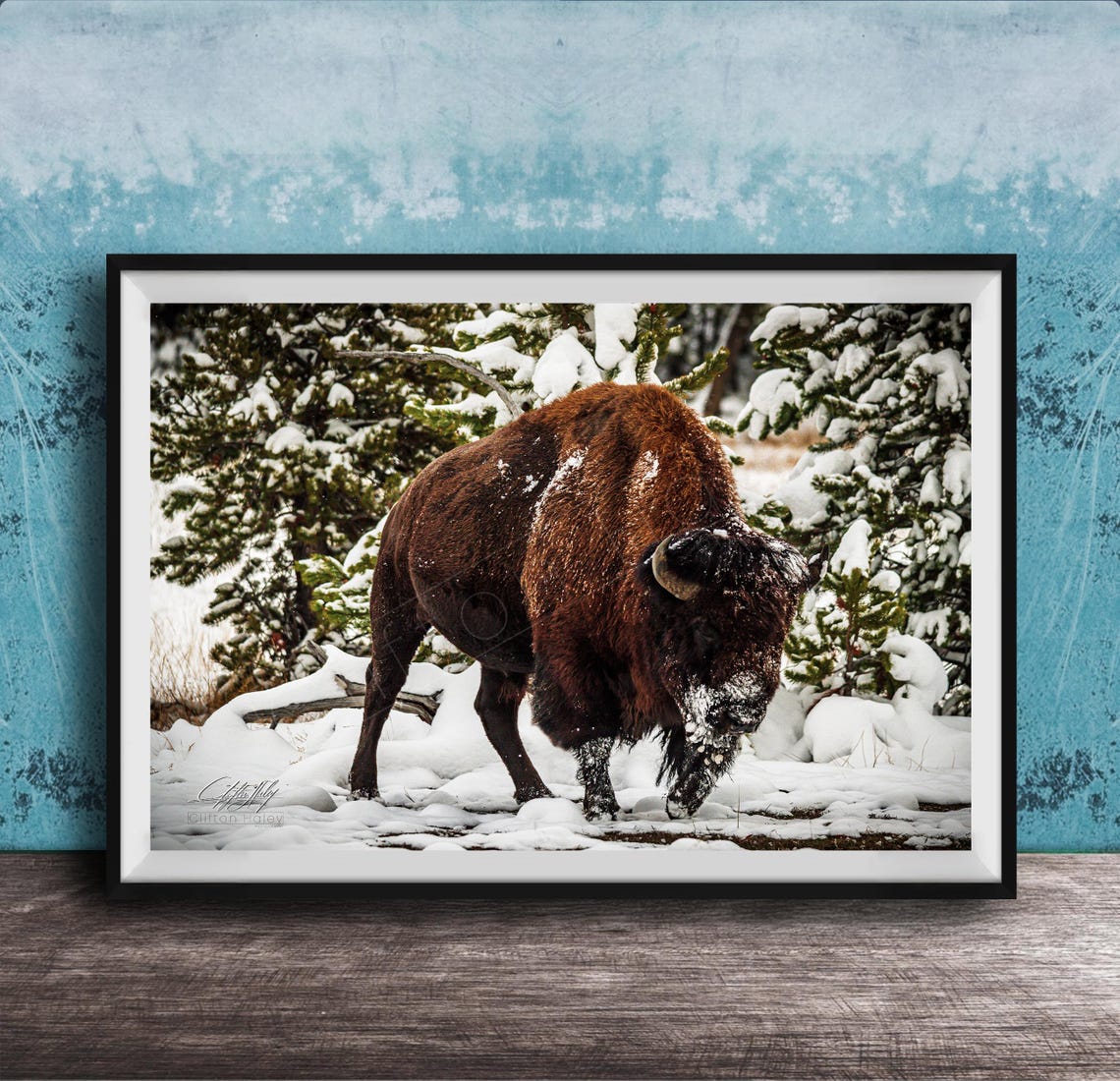 Bison Standing in Snowy Forest Winter Wildlife Photography Art Print