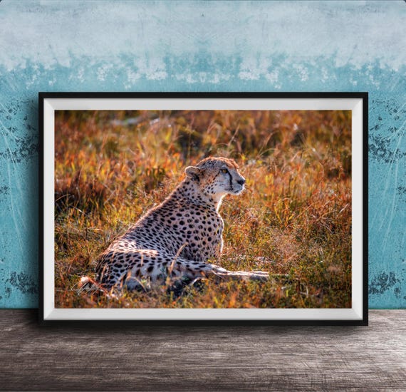 Cheetah Wall Art Vibrant Safari Decor Framed Or Canvas