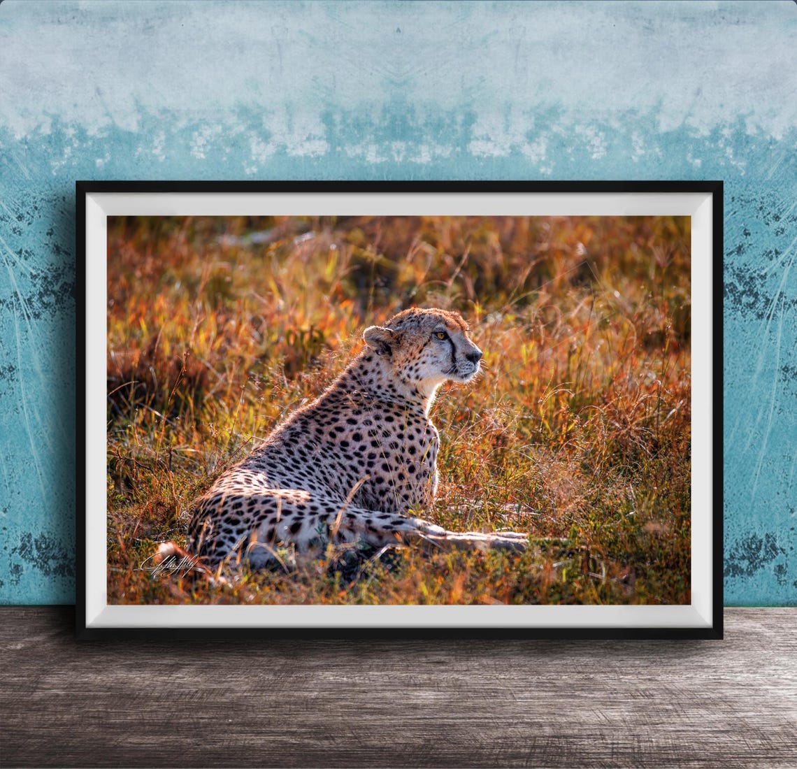 Cheetah Wall Art Vibrant Safari Decor Framed Or Canvas