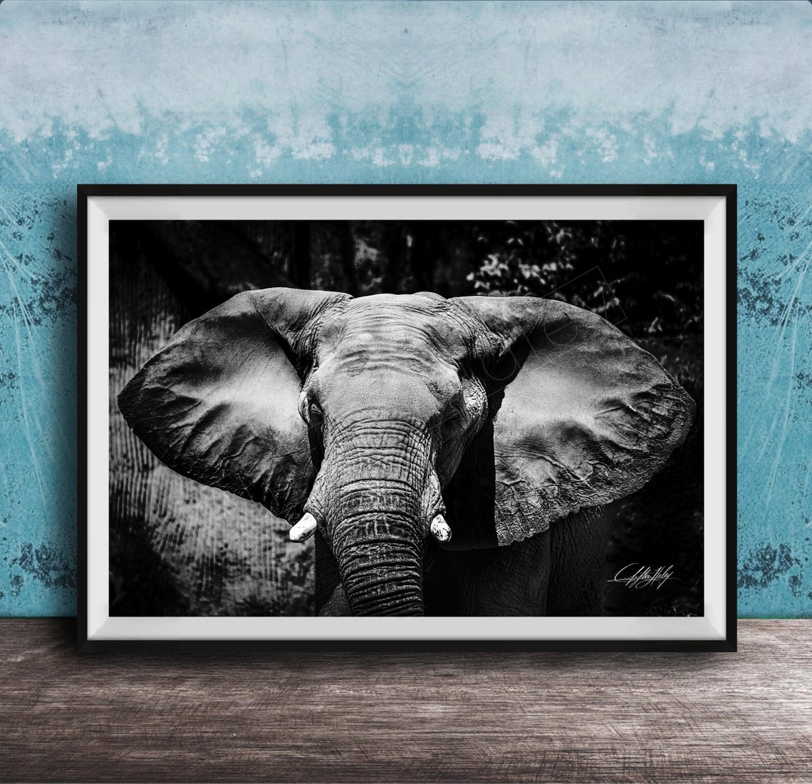 African Elephant Head On Black and White Dramatic Safari Photo Poster