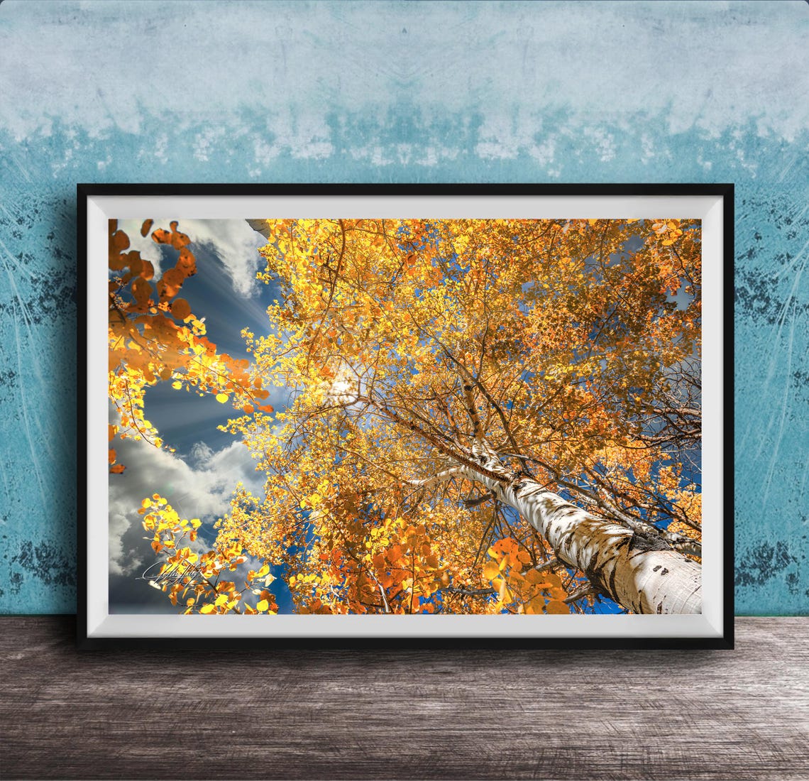 Golden Aspen Trees in Fall Foliage Rocky Mountain Sunshine Poster