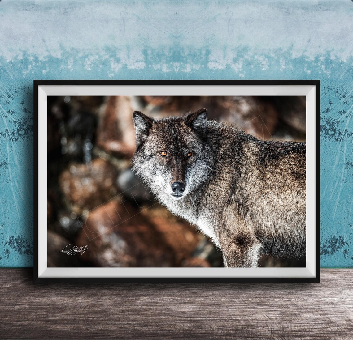 Wolf Art Print Jackson Hole Wildlife Scene Grand Teton Landscape