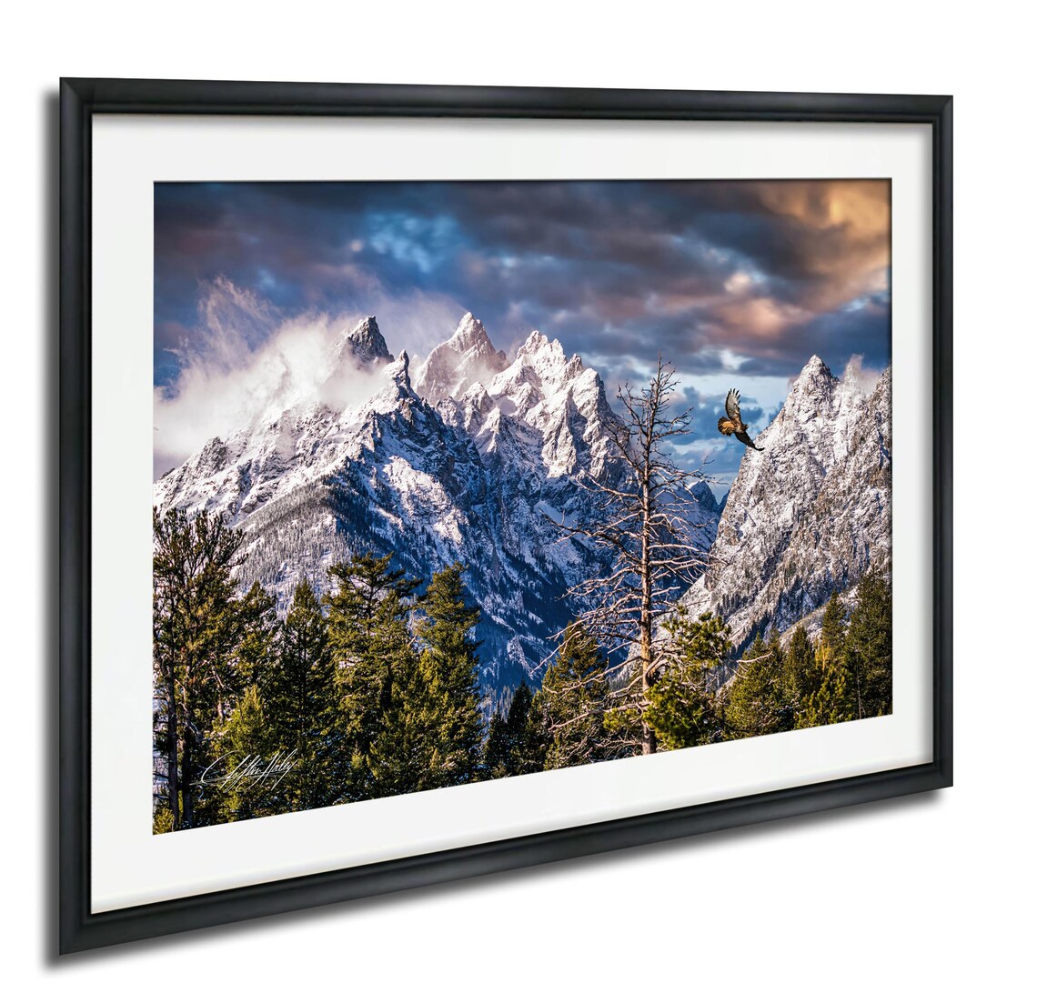 Hawk Over Grand Teton, Wyoming Travel Poster