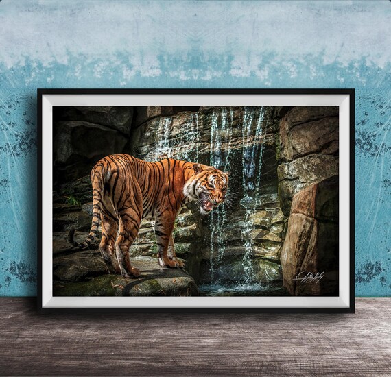 Tiger Wall Art Print Sumatran Jungle Waterfall Boho Tropical Decor