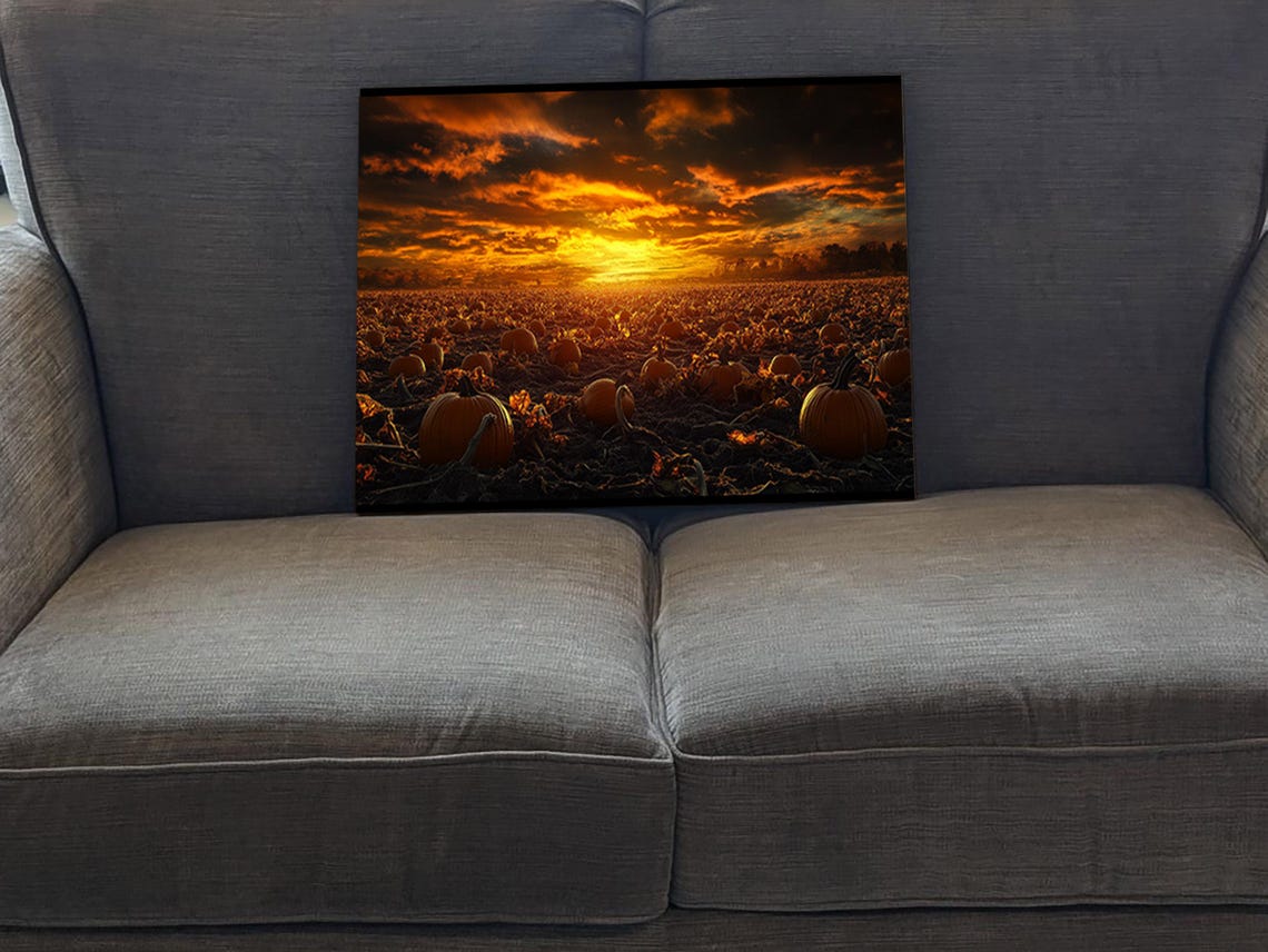 Pumpkin Patch, Rustic Autumn Art Print - Image 5