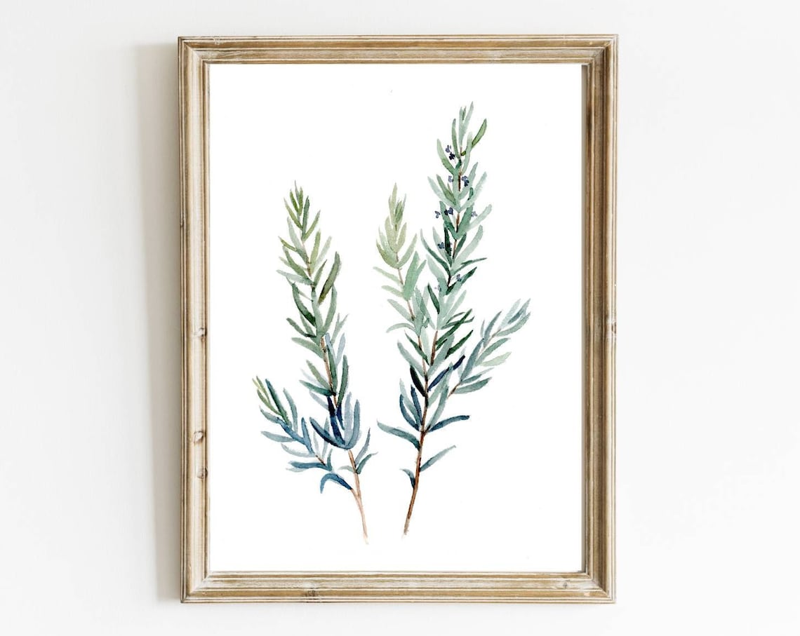 Rosemary Watercolor Herbs Art Print, Kitchen Botanical