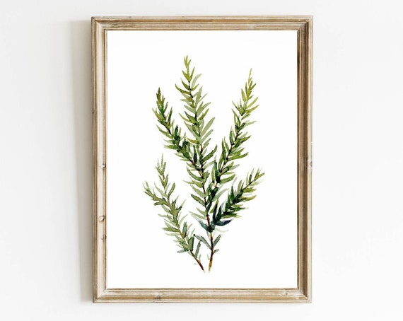 Rosemary Watercolor Herbs Kitchen Art Print