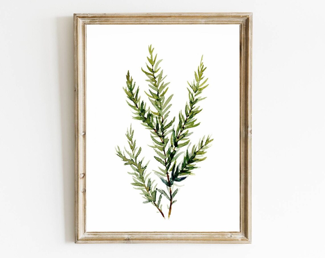 Rosemary Watercolor Herbs Kitchen Art Print