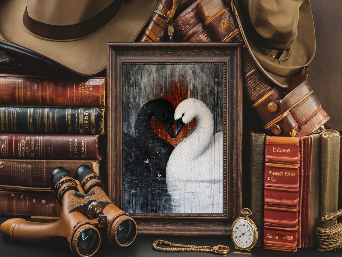Black And White Swan Pair Heart Shape Love Romantic Couple Art Poster
