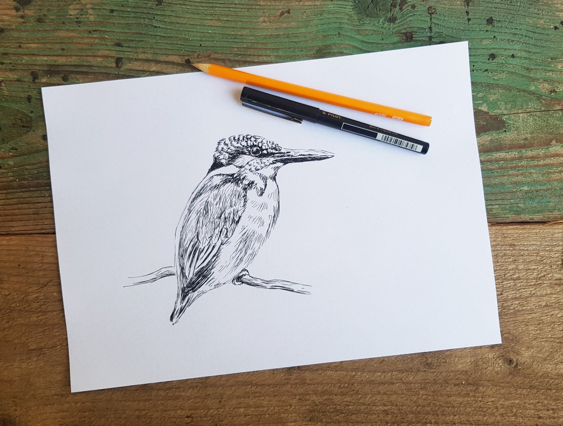 Kingfisher Bird Pen Sketch Wildlife Bird Line Drawing Art Poster - Image 3