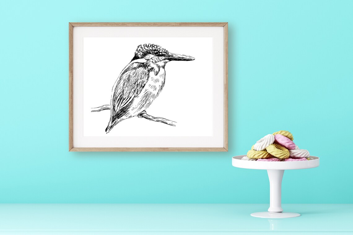 Kingfisher Bird Pen Sketch Wildlife Bird Line Drawing Art Poster
