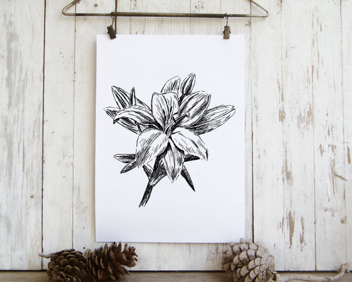 White Lily Bloom Black and White Botanical Line Drawing Art Print - Image 2