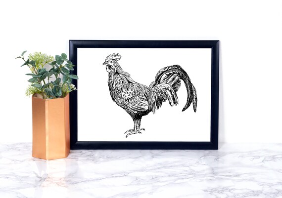 Rooster Black And White Sketch Minimalist Ink Drawing Bird Art Poster