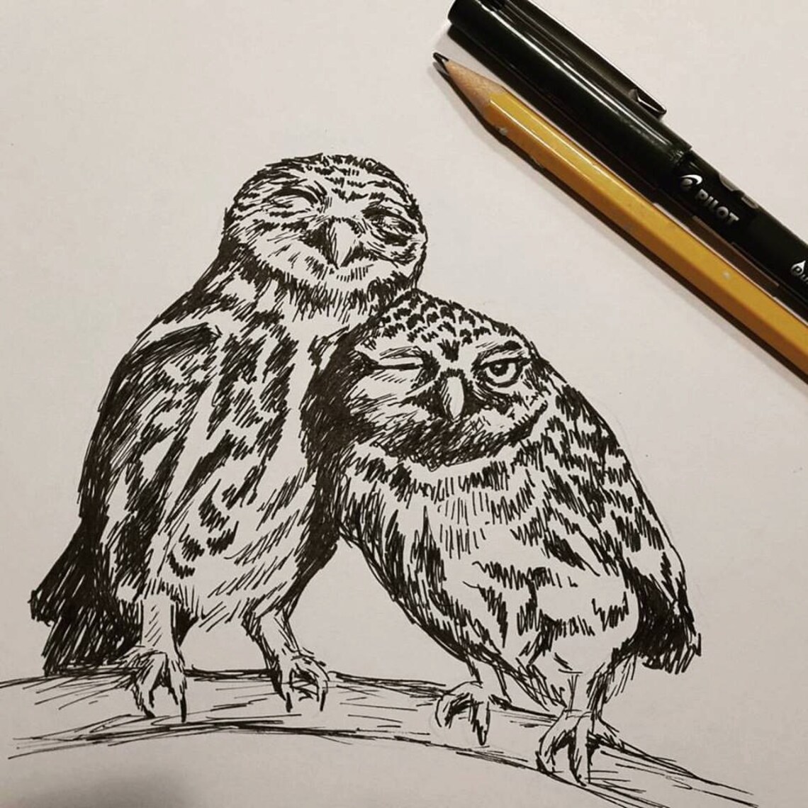 Two Owls Ink Drawing Black and White Birds Minimalist Wall Poster - Image 2