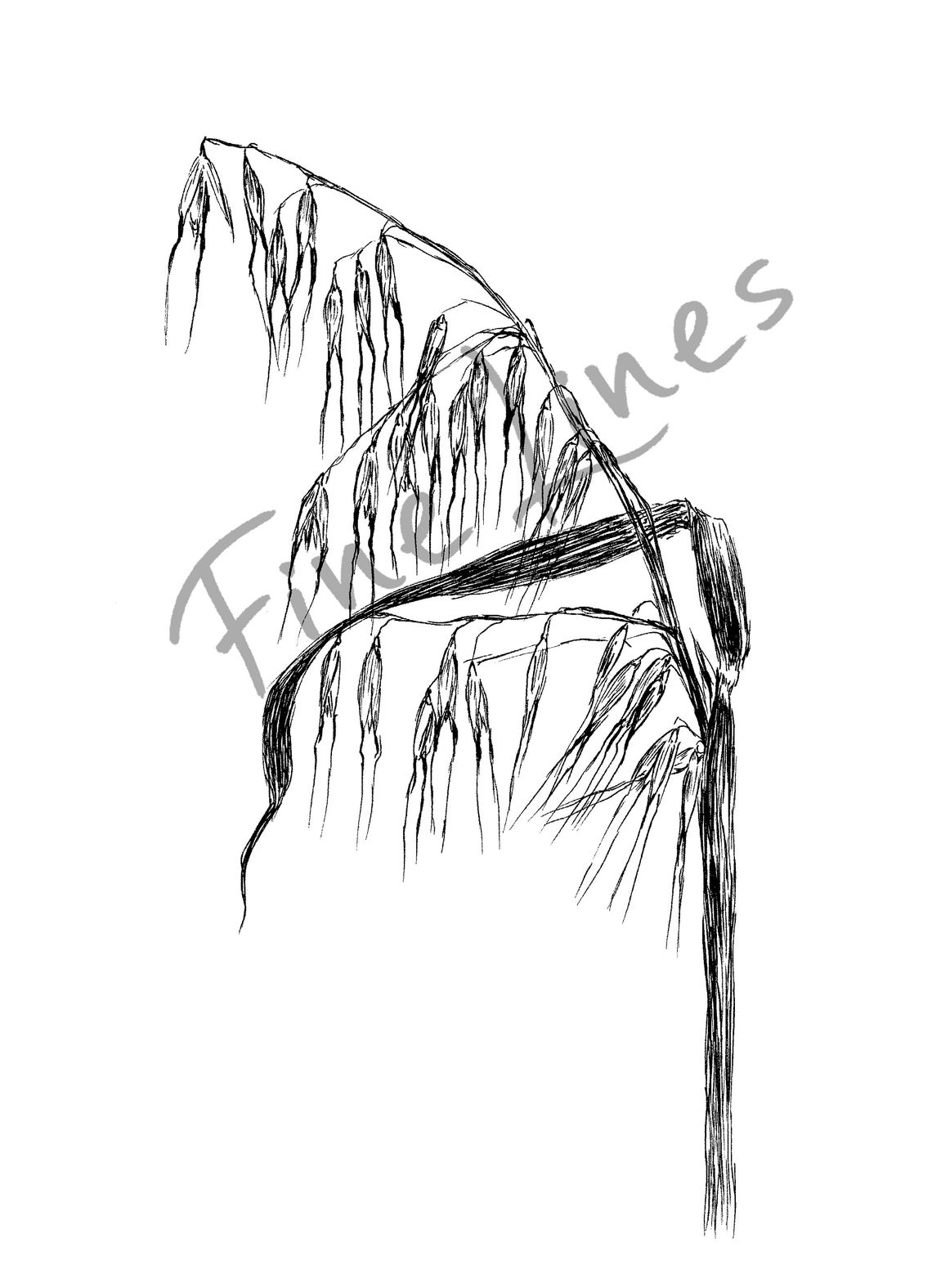Black and White Minimalist Wheat Grass Botanical Sketch Wall Art - Image 4