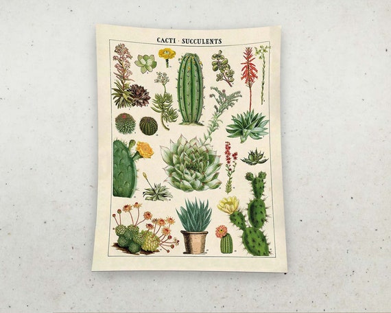 Cactus Minimalist Decor Tapestry Wall Hanging Art