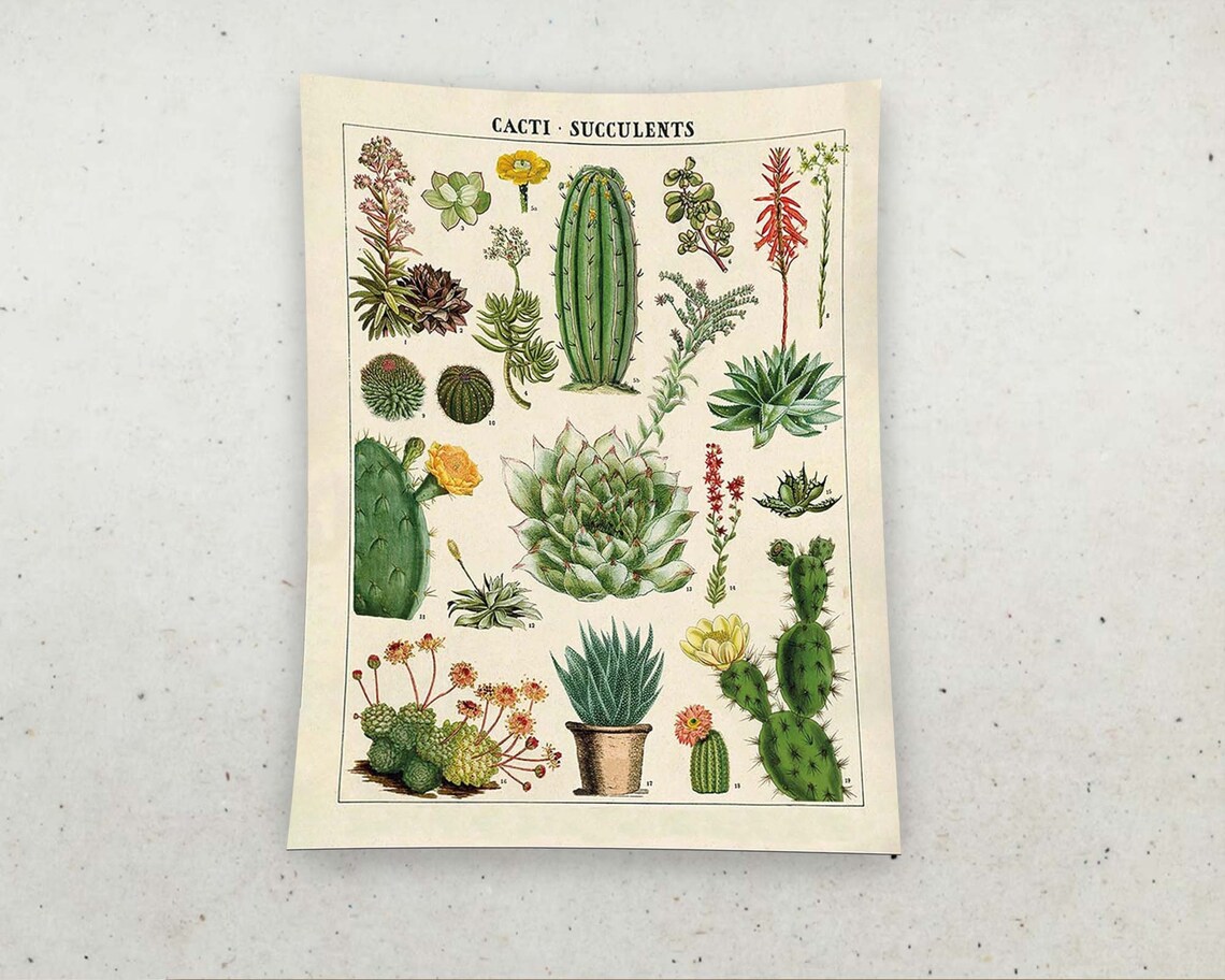 Cactus Minimalist Decor Tapestry Wall Hanging Art