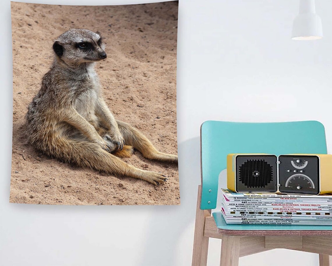 Meerkat Humor Tapestry, Funny Animal Wall Art Print