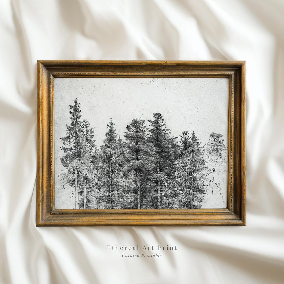Tall Pine Trees Pencil Sketch Vintage Forest Drawing Art Print