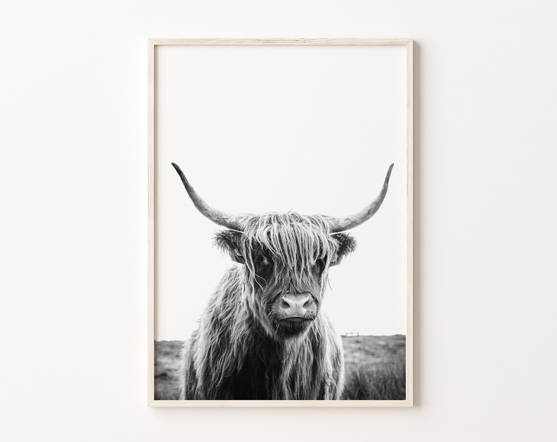 Black and White Highland Cow Long Horns Minimalist Farm Photo Poster