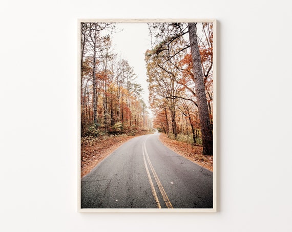 Empty Road Through Winding Autumn Forest Fall Foliage Photo Poster
