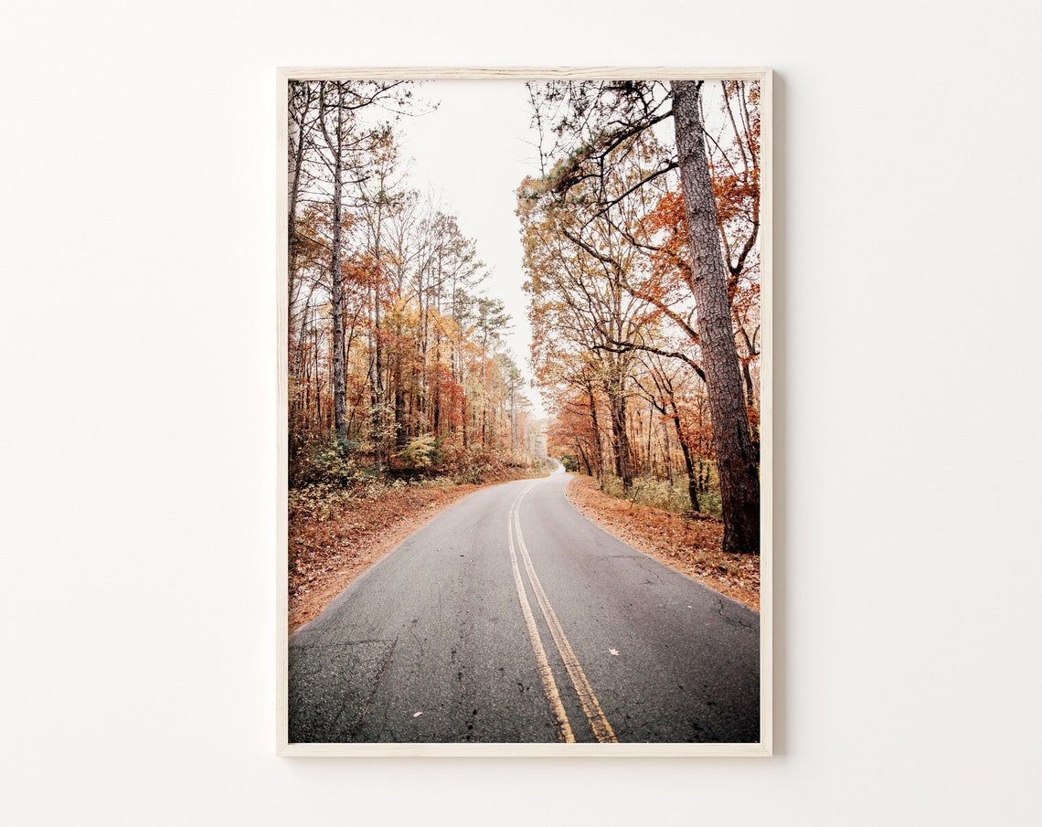 Empty Road Through Winding Autumn Forest Fall Foliage Photo Poster