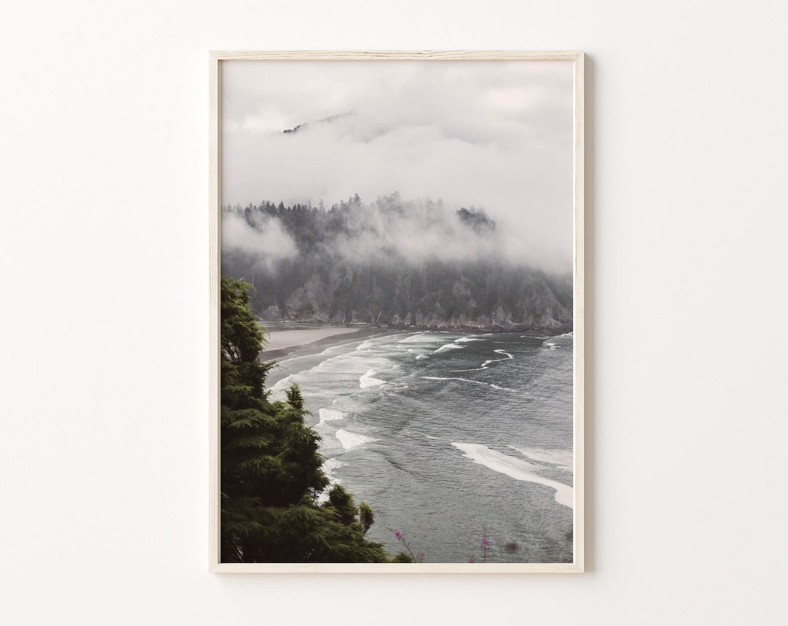 Misty Foggy Ocean Cliffs and Pine Forest Coastal Photo Poster