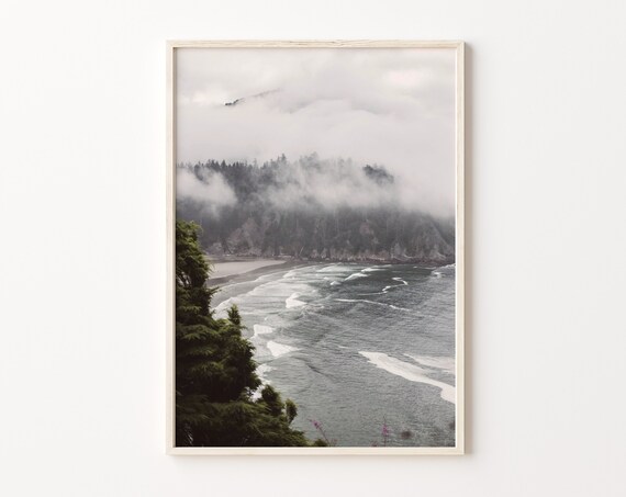 Misty Foggy Ocean Cliffs and Pine Forest Coastal Photo Poster