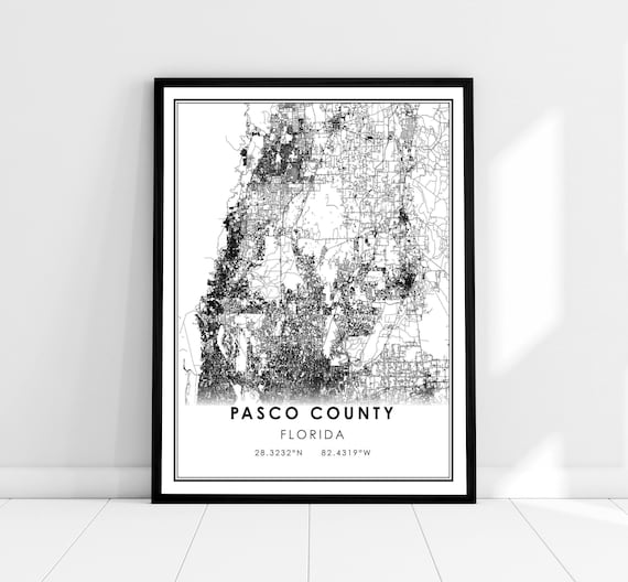 Pasco County Florida Minimalist Black White Line Art Street Map Poster