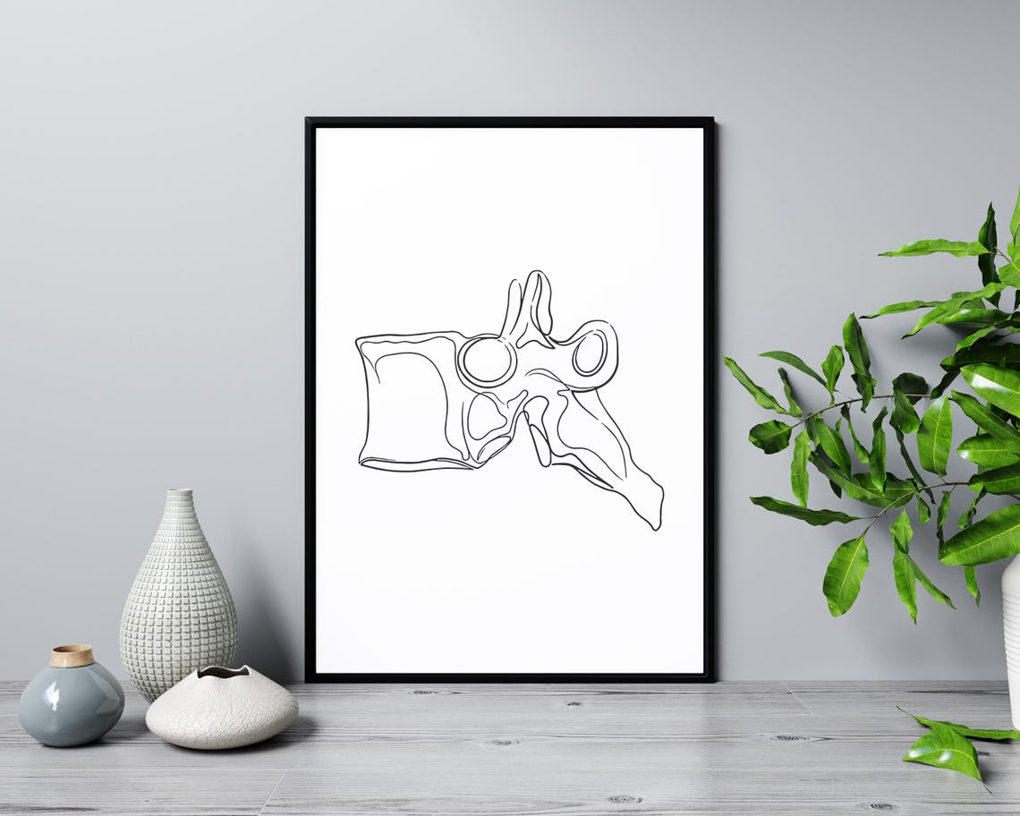 Vertebra Spine Bone Anatomy Line Illustration Medical Poster - Image 3