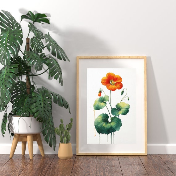 Vibrant Orange Nasturtium Watercolor Print Bold Botanical Art For An Invigorating Home Decor