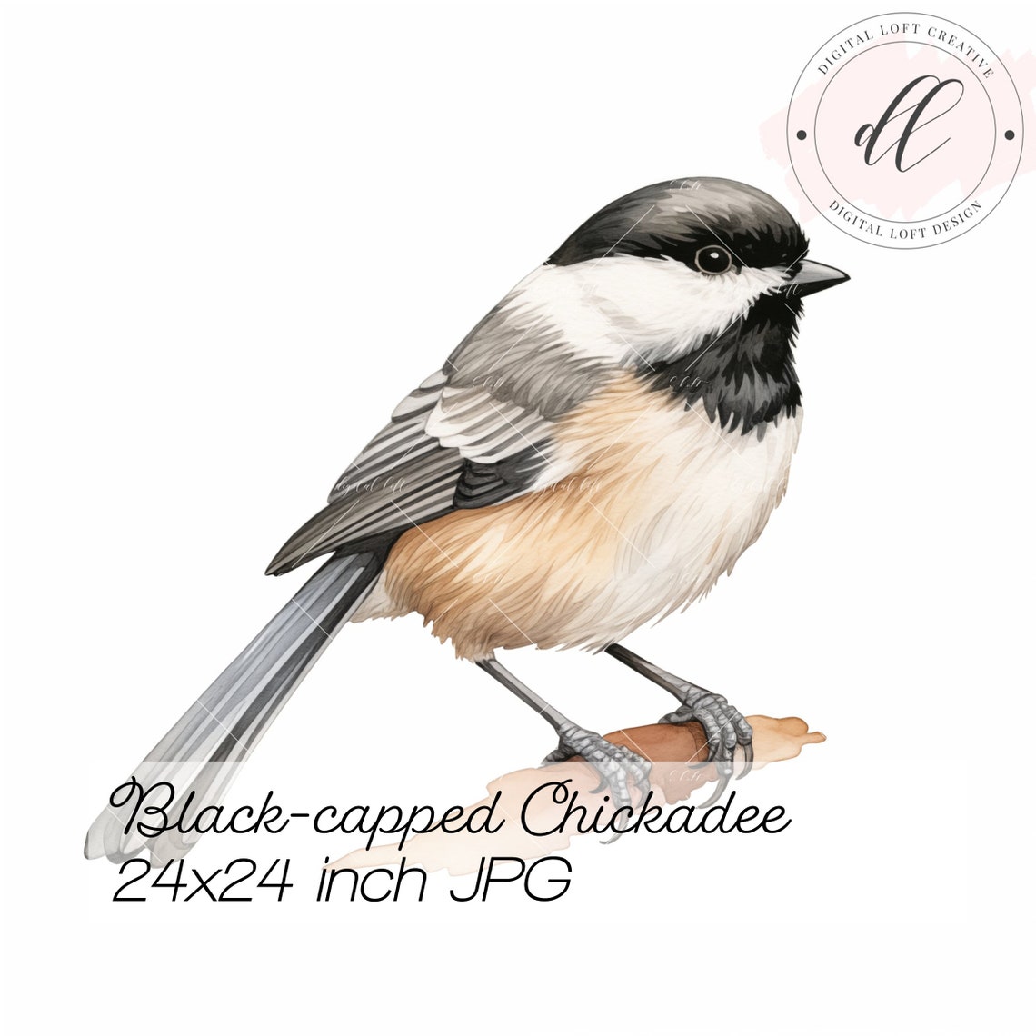 Black Capped Chickadee Watercolor Bird Portrait Garden Wildlife Poster