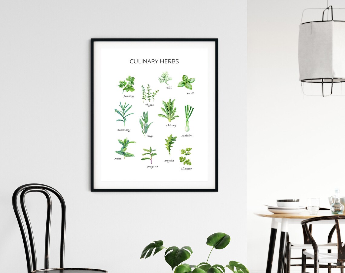 Herbs Kitchen Art Print, Culinary Botanical Decor - Image 2