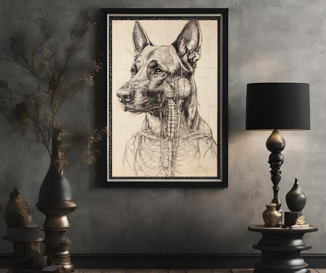 Anatomical Dog Sketch Scientific Canine Study Vintage Line Art Poster - Image 2