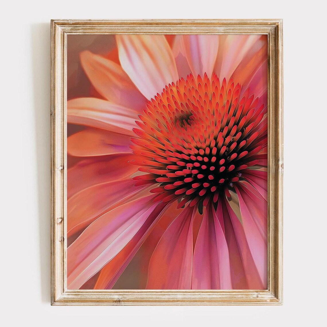 Pink Coneflower Macro Floral Photography Vibrant Petals Botanical Art Poster