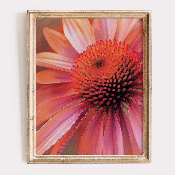 Pink Coneflower Macro Floral Photography Vibrant Petals Botanical Art Poster