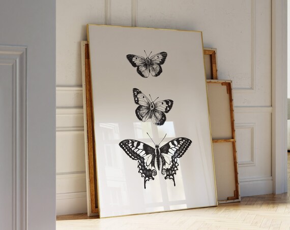 Black and White Butterfly Sketches Vintage Entomology Art Poster