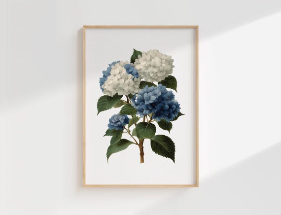 Vintage Hydrangea Botanical Print Blue White Flower Illustration