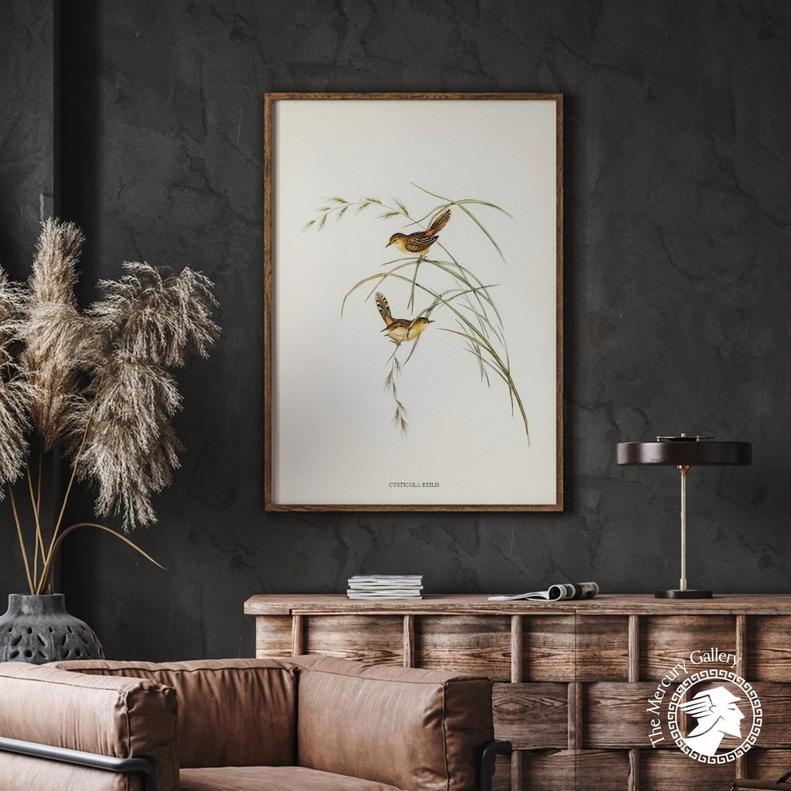 Vintage Golden-Headed Cisticola Pair Antique Bird Illustration Print - Image 2