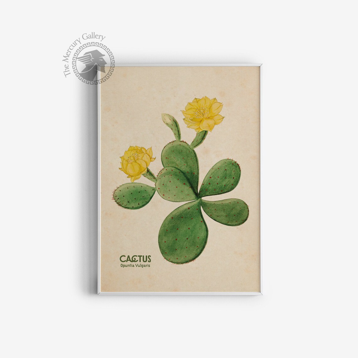 Vintage Botanical Art, Boho Western Decor Print - Image 3