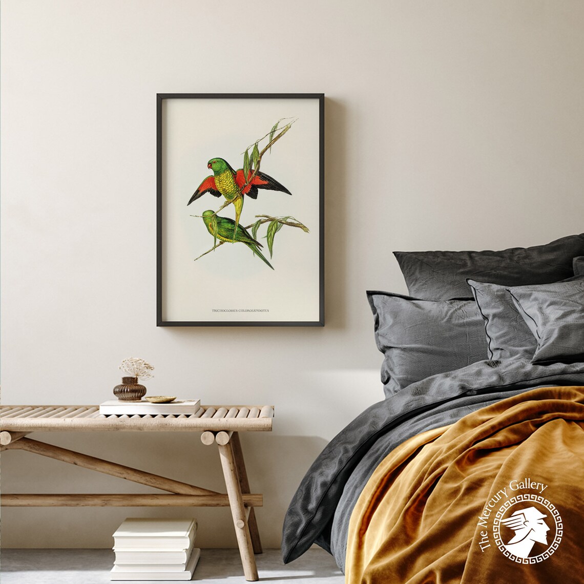 Scaly Breasted Lorikeet Vintage Australian Bird Illustration Print - Image 3