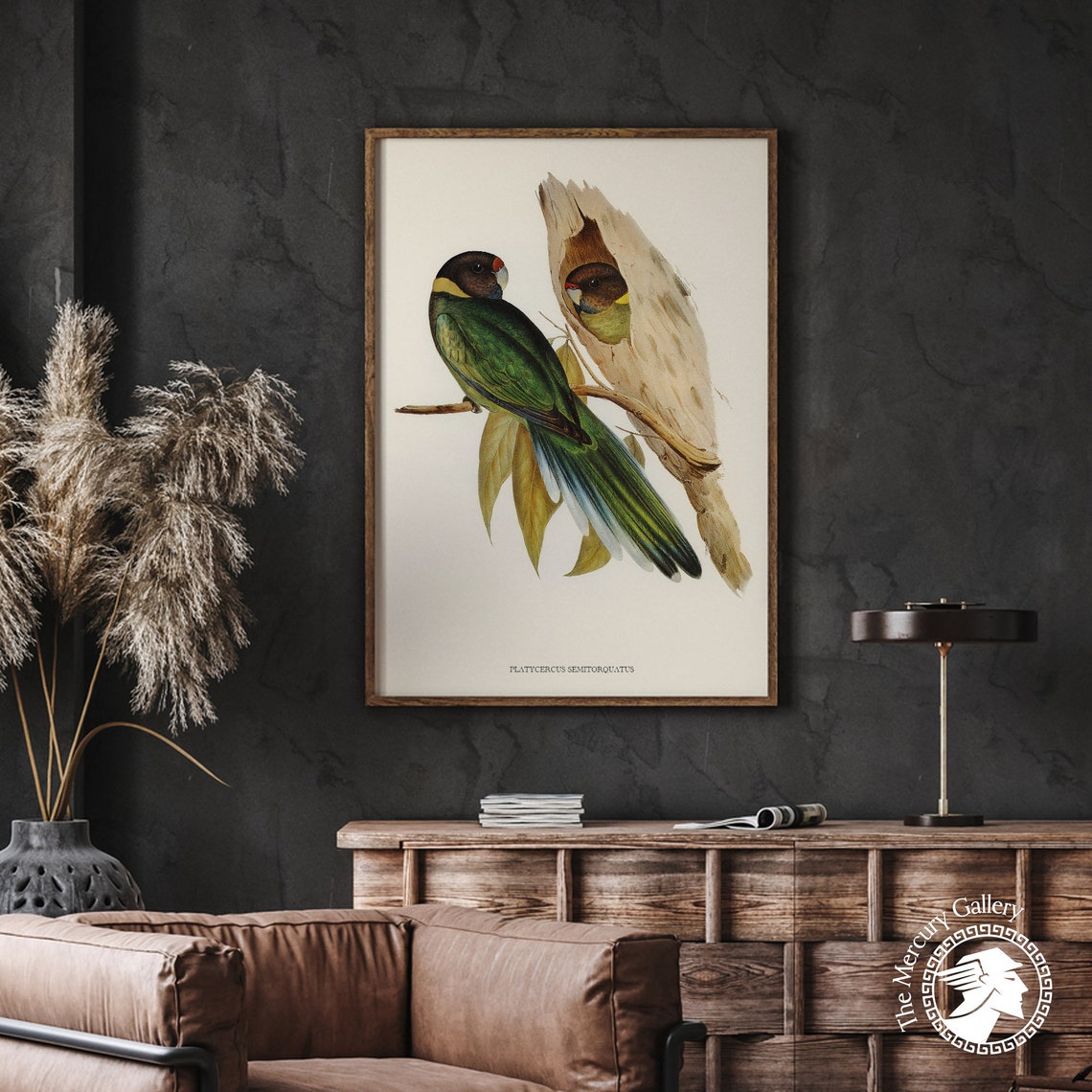 Vintage Yellow-Collared Parakeet Pair Antique Bird Illustration Print - Image 5